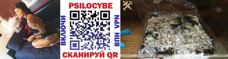 Купить закладки  Арск  Галлюциногенные грибы прущие грибы 