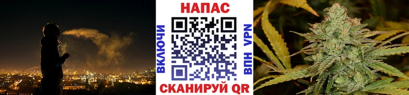 Купить где  Арск  Каннабис конопля 